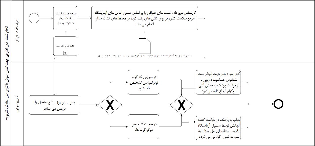 فرآیند تعیین سوش باکتری با تستهای افتراقی