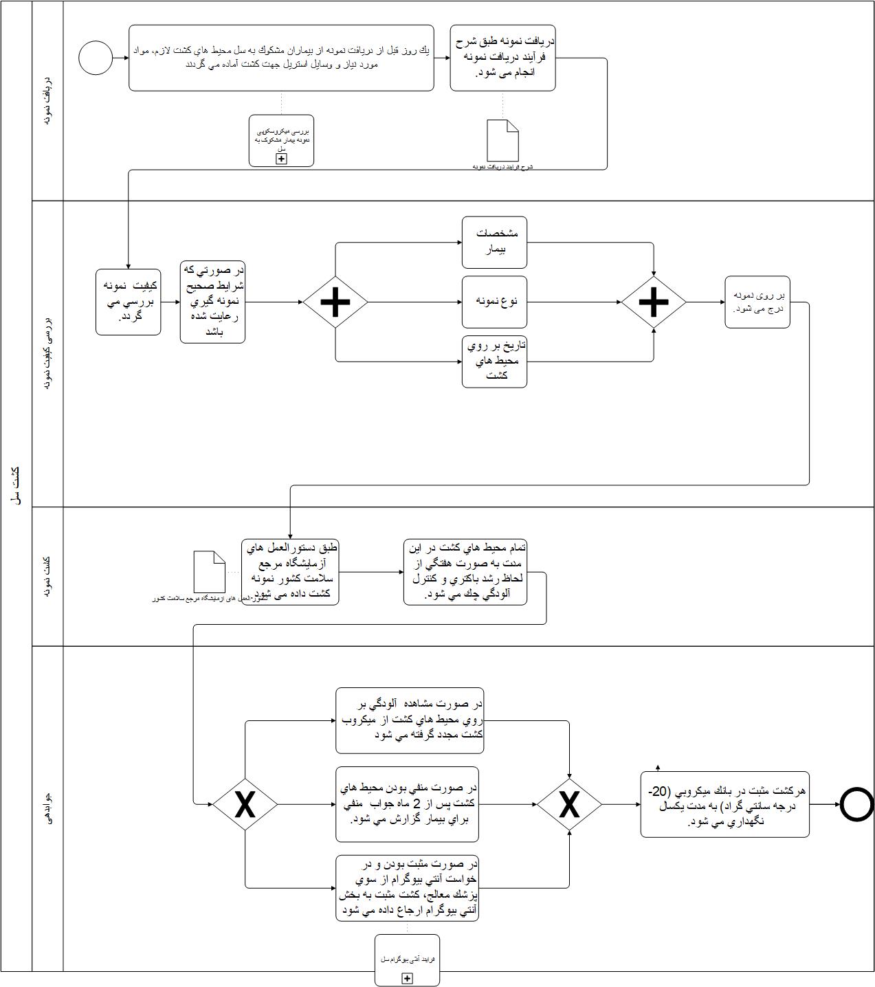 فرآیند کشت سل